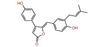 Rubrolide R